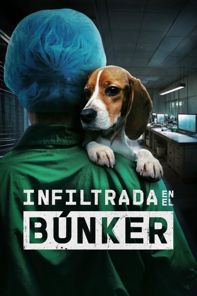Imagen Infiltrada en el búnker