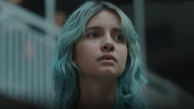 Imagen Cometierra 1x2