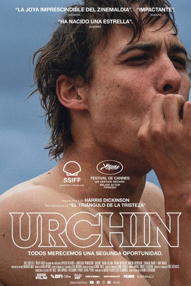 Imagen Urchin
