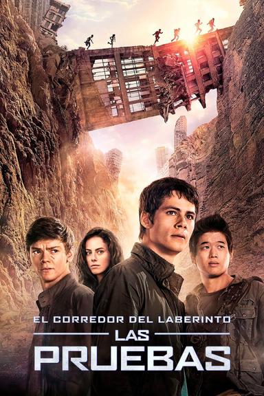 Imagen El corredor del laberinto: Las pruebas
