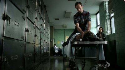 Imagen Elementary 1x5