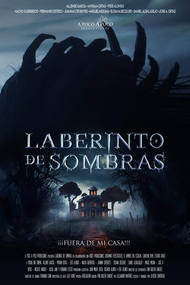 Imagen Laberinto de sombras