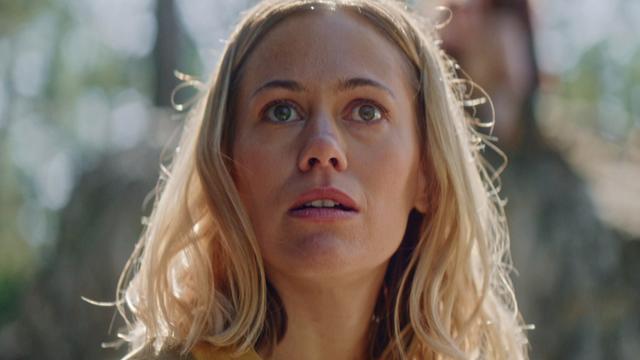 Imagen Campamento Albanta 1x1