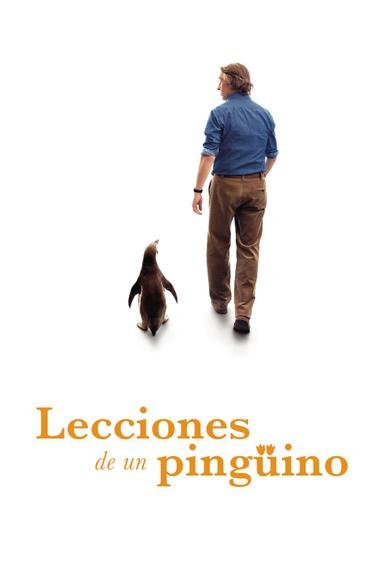 Imagen Lo que aprendí de mi pingüino