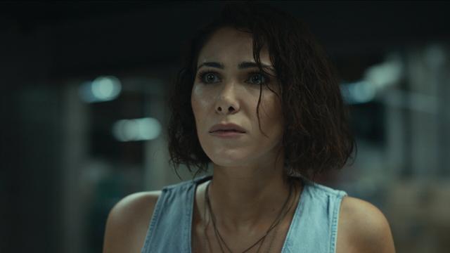 Imagen Franklin 1x5