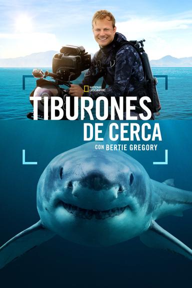 Imagen Tiburones en primer plano con Bertie Gregory
