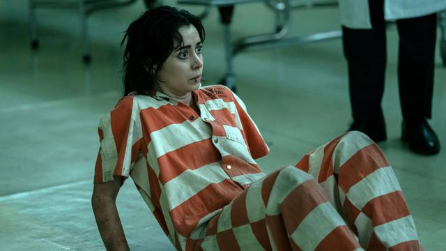 Imagen El Pingüino 1x4