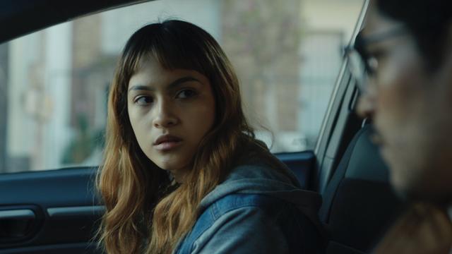 Imagen Cometierra 1x3