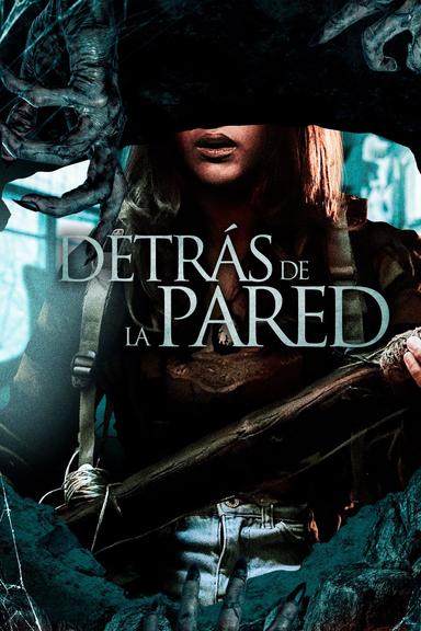 Imagen Detrás de la Pared