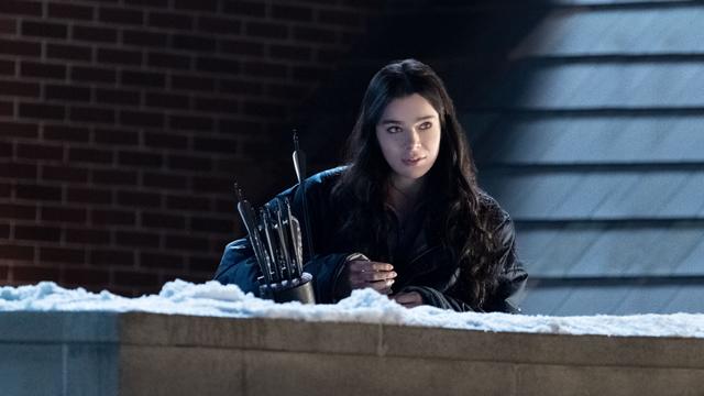 Imagen Ojo de Halcón 1x1