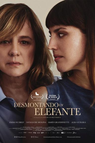 Imagen Desmontando un elefante