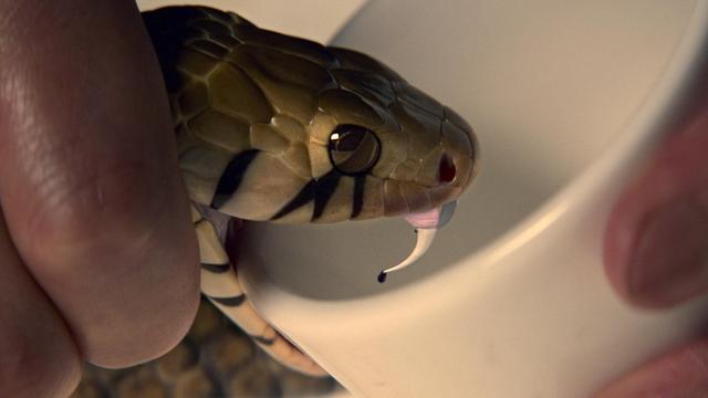 Imagen Wu Assassins 1x6