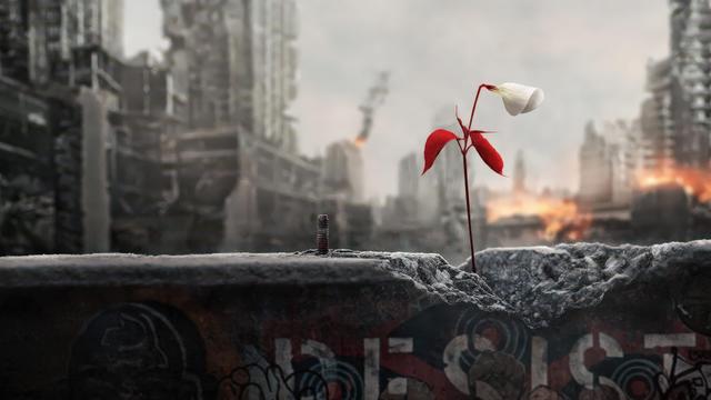 Imagen El cuento de la criada