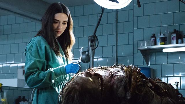 Imagen La cosa del pantano 1x1