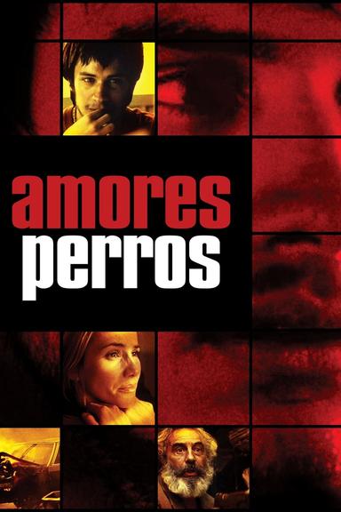 Imagen Amores perros