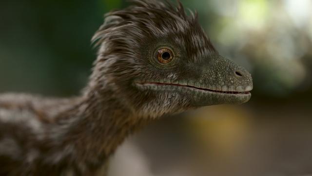 Imagen Los dinosaurios 1x1