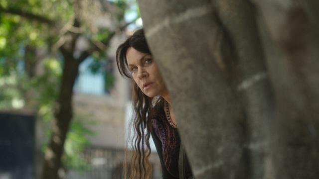 Imagen El tiempo de las moscas 1x2