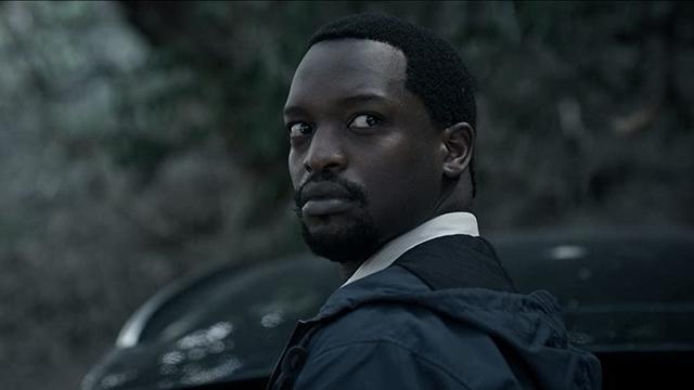 Imagen Donkerbos 1x2