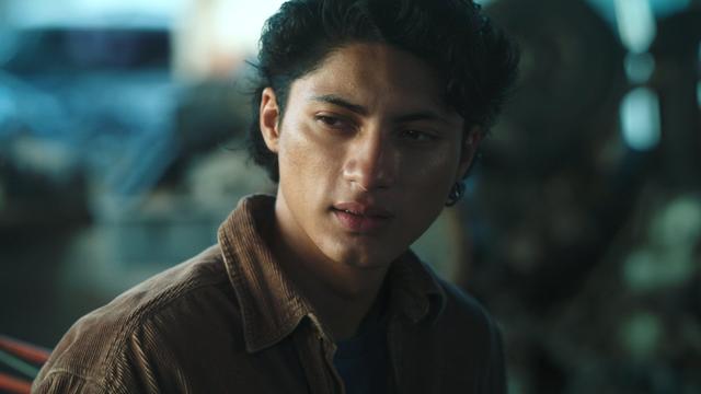 Imagen Cometierra 1x4