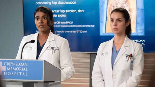 Imagen Anatomía de Grey 22x13