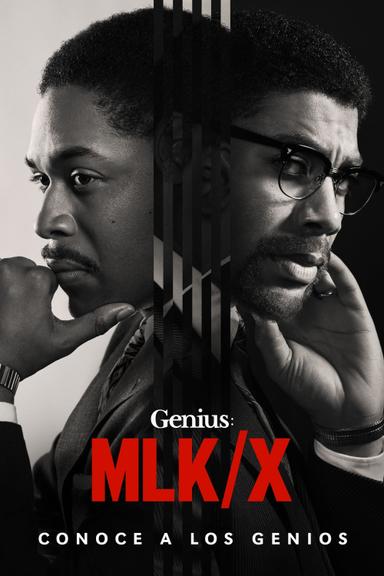 Imagen Genius