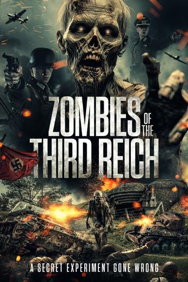 Imagen Zombies of the Third Reich