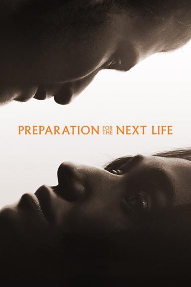 Imagen Preparation for the Next Life