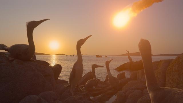 Imagen Los dinosaurios 1x4