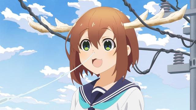 Imagen Shikanoko Nokonoko Koshitantan 1x1