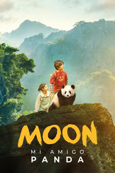 Imagen Moon, mi amigo panda