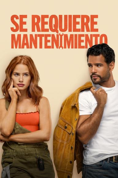 Imagen Se requiere mantenimiento