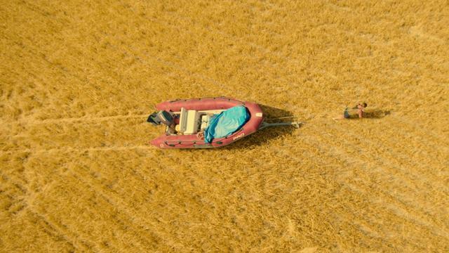 Imagen White Lines 1x6