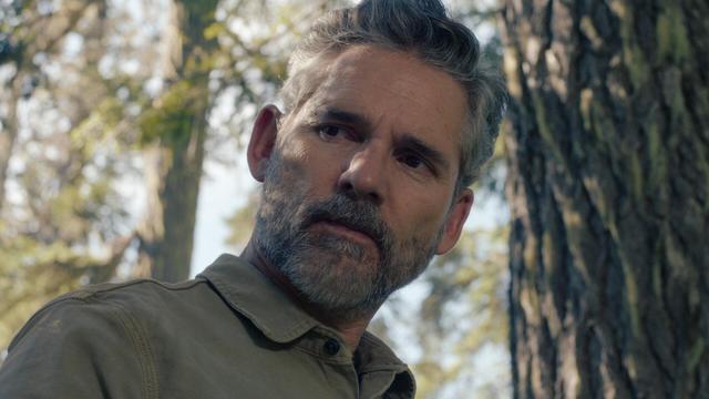 Imagen Indomable 1x1