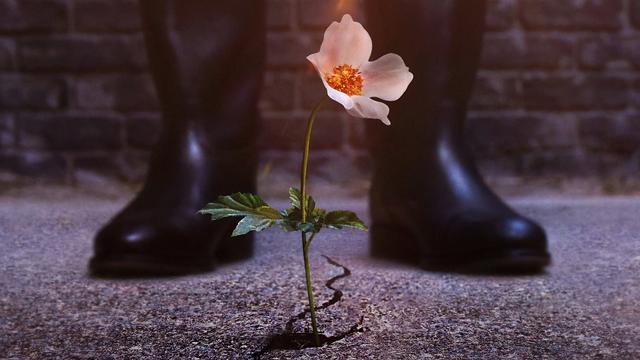 Imagen El hombre en el castillo