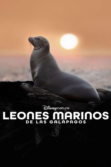 Imagen Los leones marinos de las Galápagos