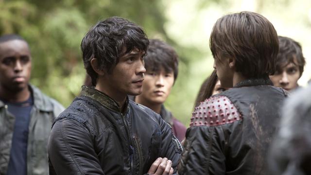 Imagen Los 100 1x4