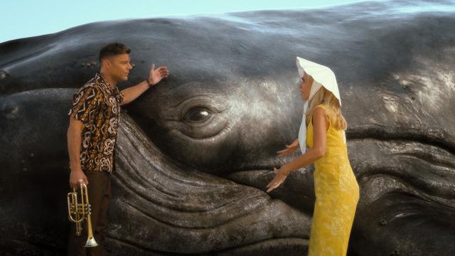 Imagen Palm Royale 1x8