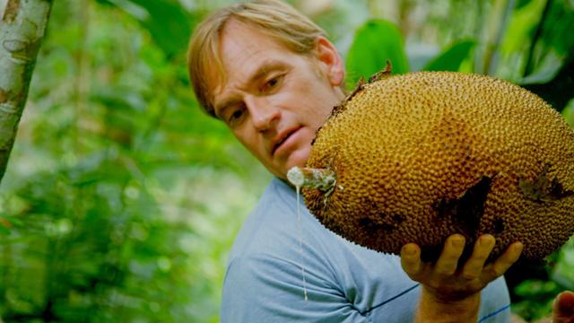 Imagen Zac Efron: Con los pies en la tierra 1x3