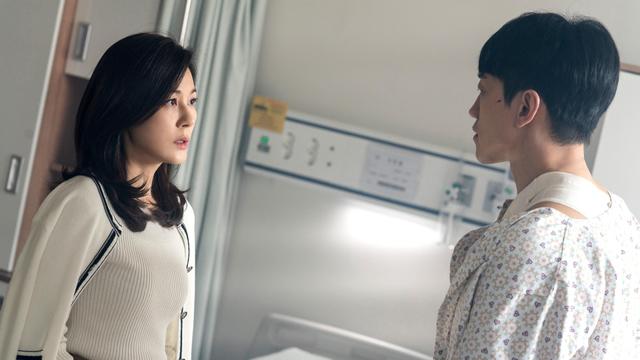 Imagen Cisne rojo 1x6