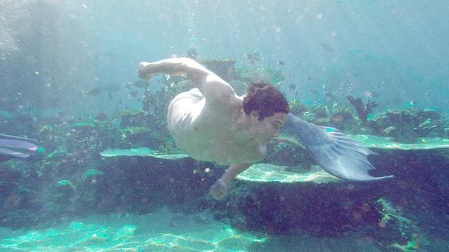 Imagen Las sirenas de Mako 1x23