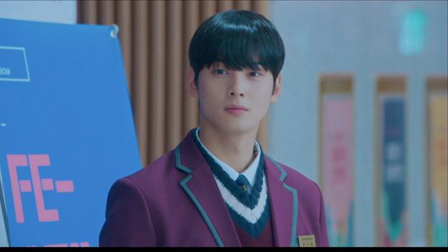 Imagen Belleza verdadera 1x3