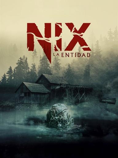 Imagen Nix: La Entidad