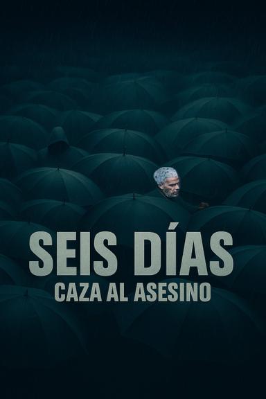 Imagen Seis días: Caza al asesino