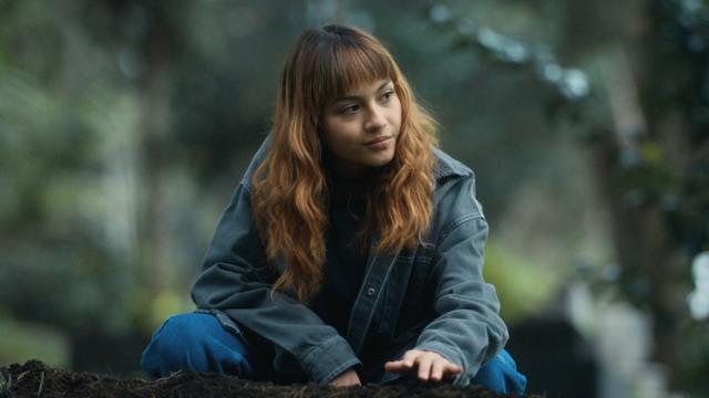 Imagen Cometierra 1x7