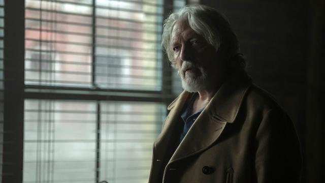 Imagen El Pingüino 1x6