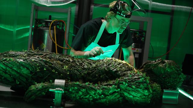 Imagen La cosa del pantano 1x9