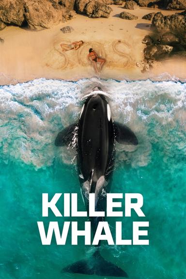 Imagen Killer Whale