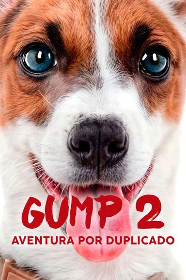 Imagen Gump 2: Aventura Por Duplicado