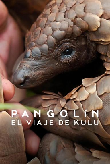 Imagen Pangolín: El viaje de Kulu