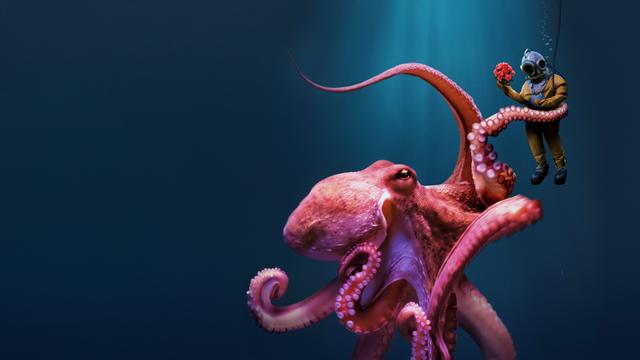 Imagen ¡Pulpo!